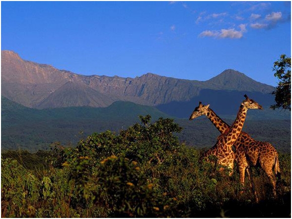 arusha-national-park-1