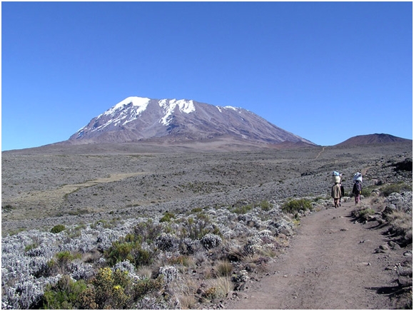 kilimanjaro-national-park-3