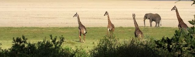 lake-manyara-national-park-overview-image