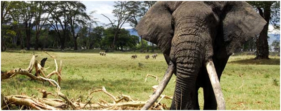 ngorongoro-conservation-area-4