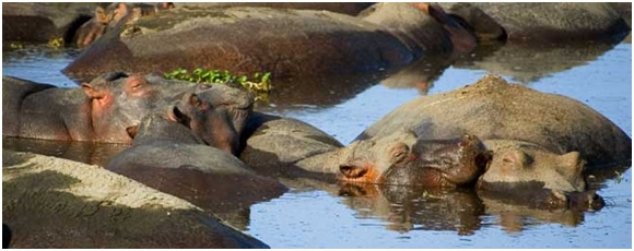 ngorongoro-conservation-area-8