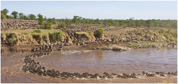 serengeti-national-park-1